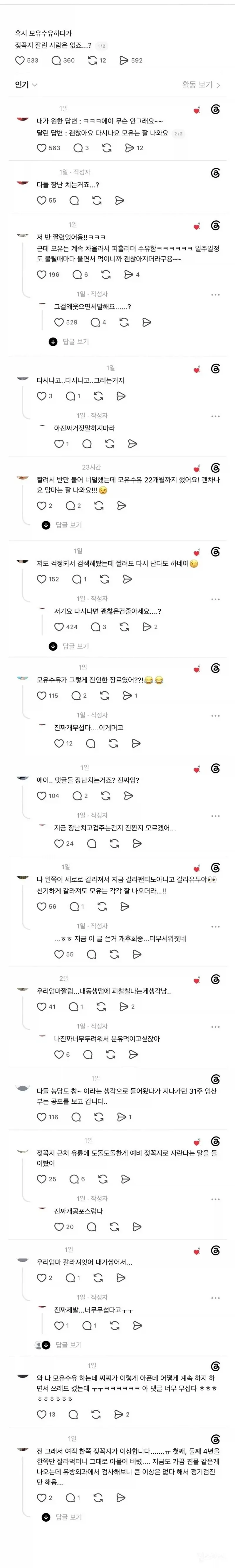 찟찌꼭지는 잘려도 다시난다?_1.webp