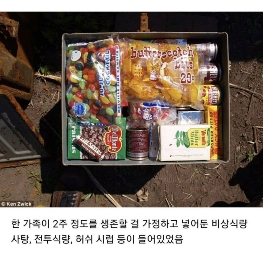 미국 가정집 뒷마당에서 발견된 벙커.jpg_4.jpg