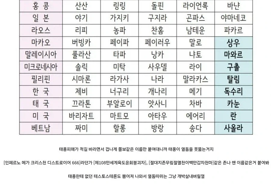돌핀저새끼 저거 저럴줄 알았다._1.webp