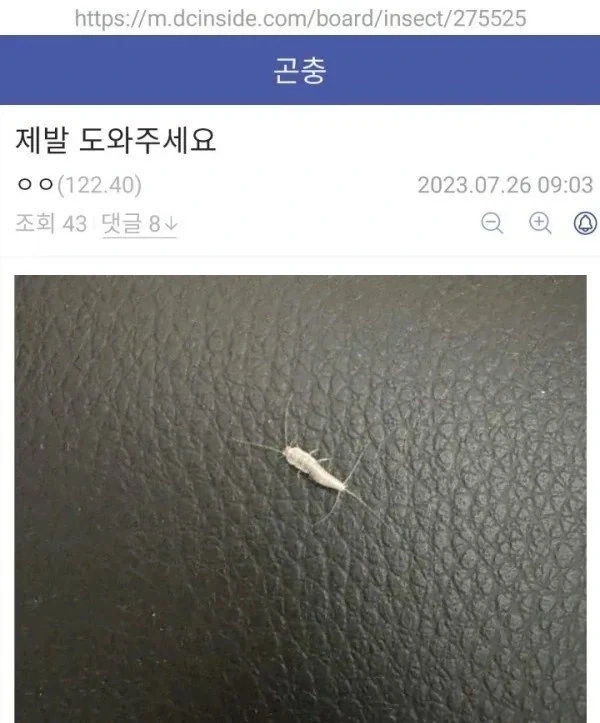 이 벌레 이름좀 알려주세요_1.webp