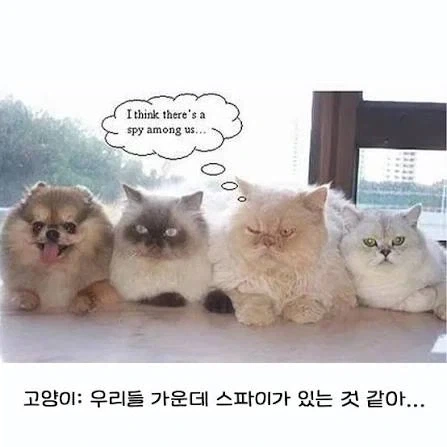 성심당 그 정도 아니다 떠벌리는 애들 특_1.webp