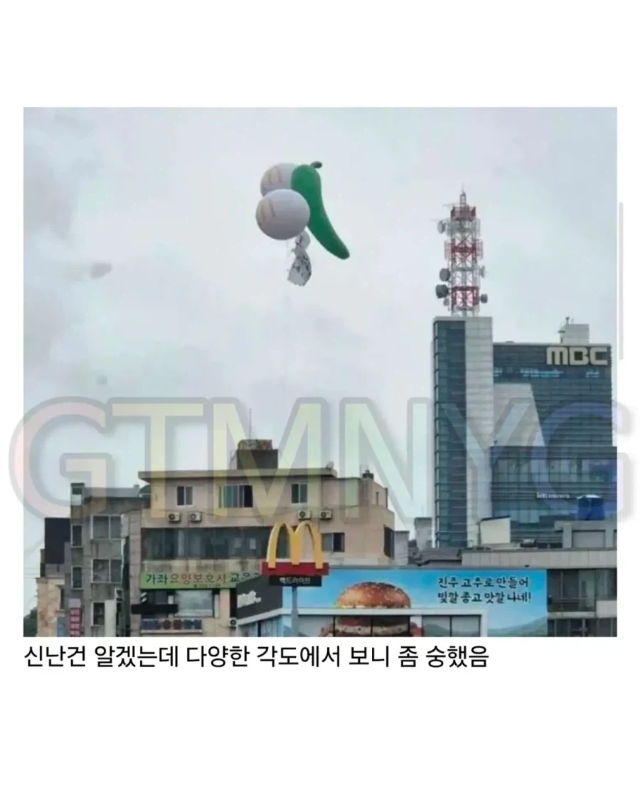 돌아온 고추... 그치만 고추..._2.webp