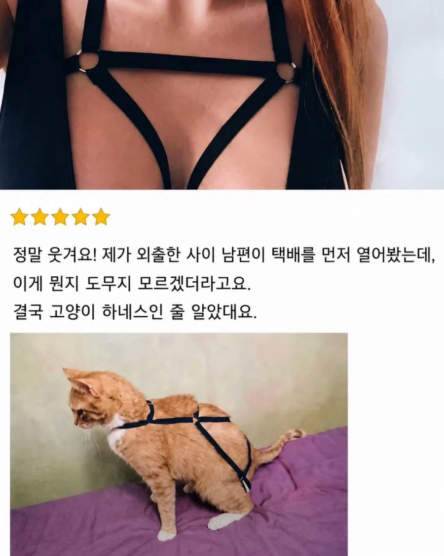아내의 택배를 열어본 남편은..._1.webp