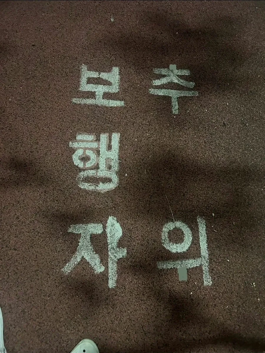 보 행 자 추 위_1.webp
