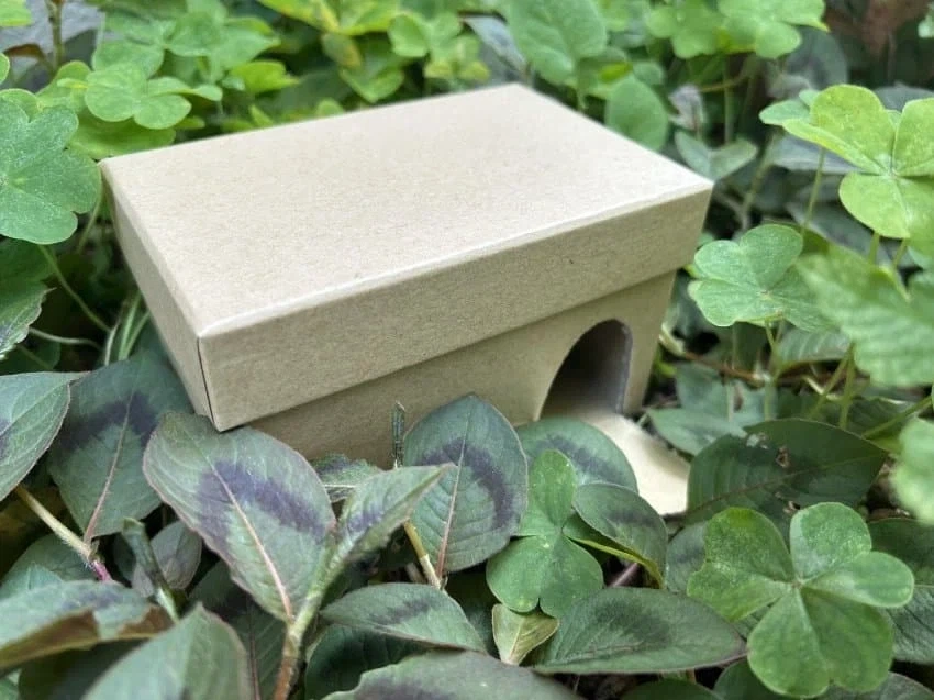 야생 도로롱.jpg_4.webp