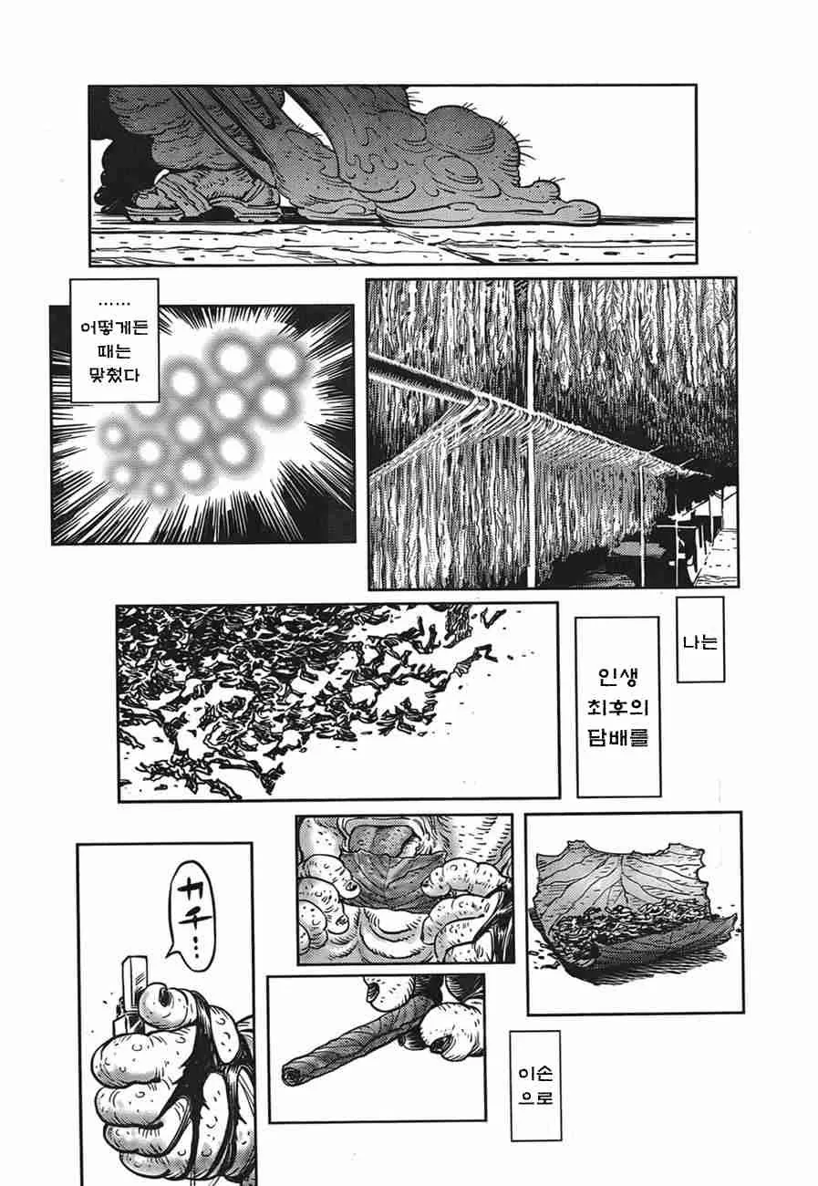 manga_1273041_012.webp