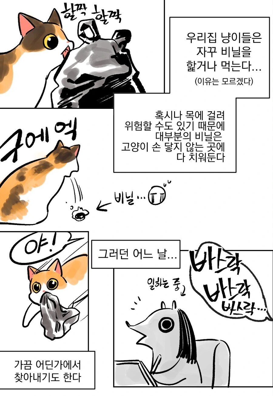 manga_2249512_001.webp