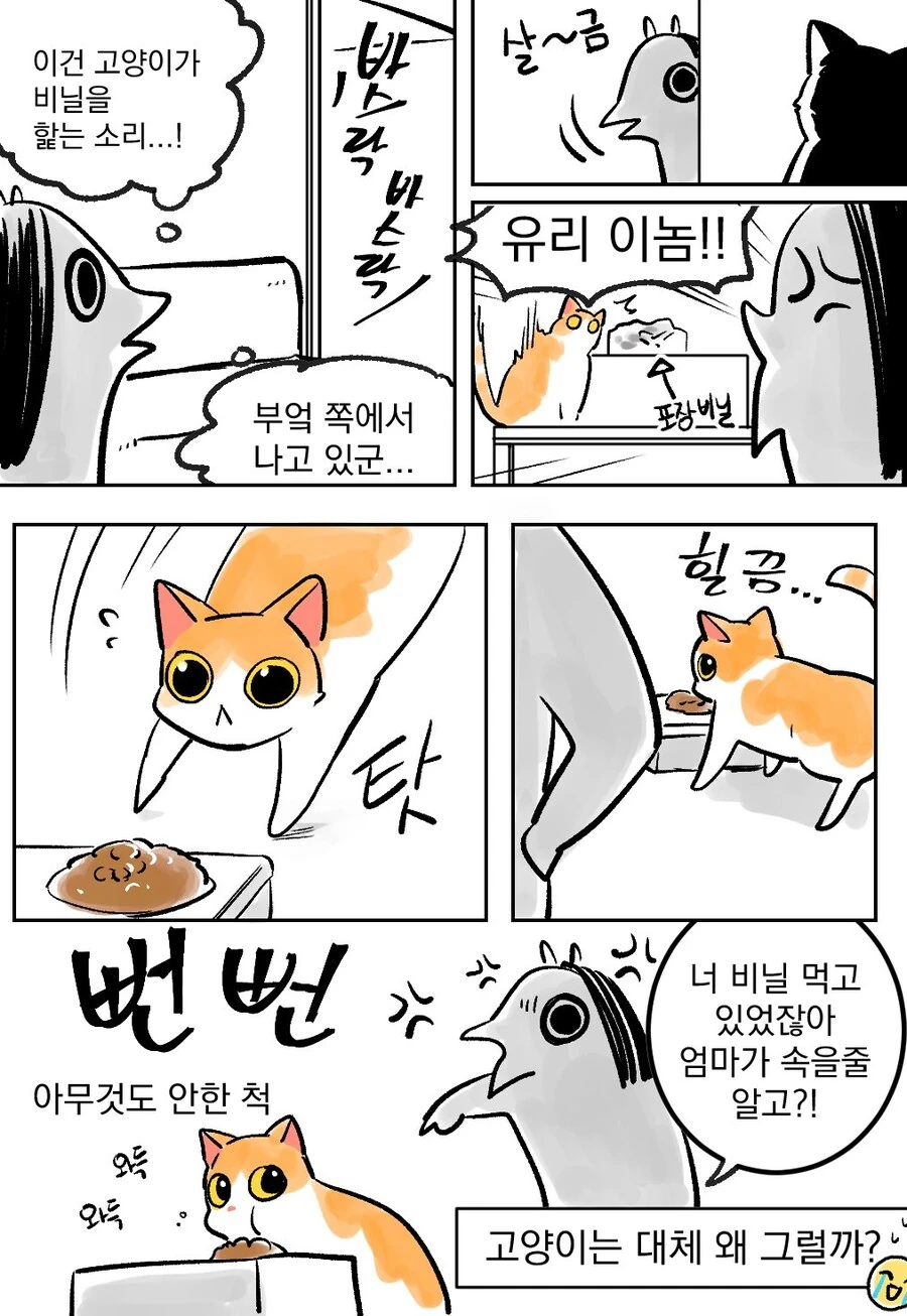 manga_2249512_002.webp