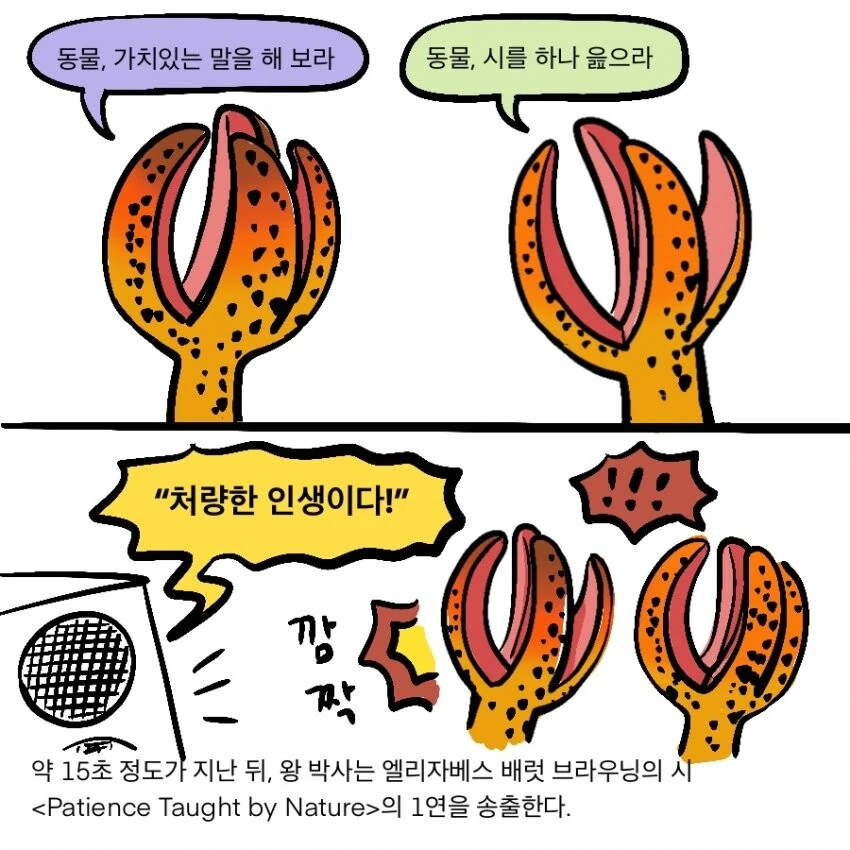 manga_2927397_010.webp