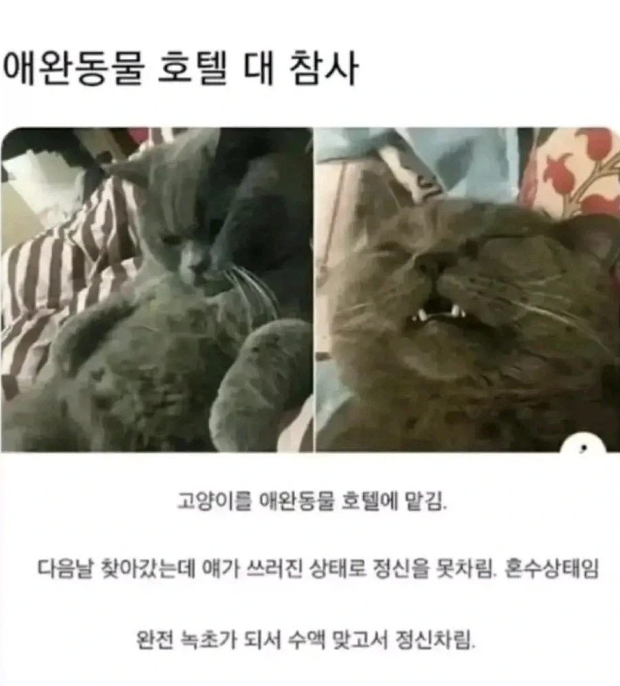 폭풍ㅅㅅ_1.webp