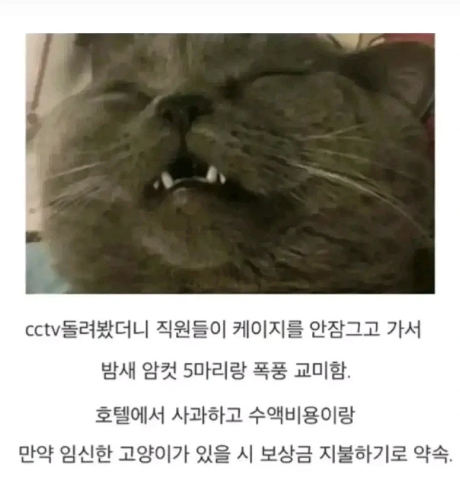폭풍ㅅㅅ_2.webp