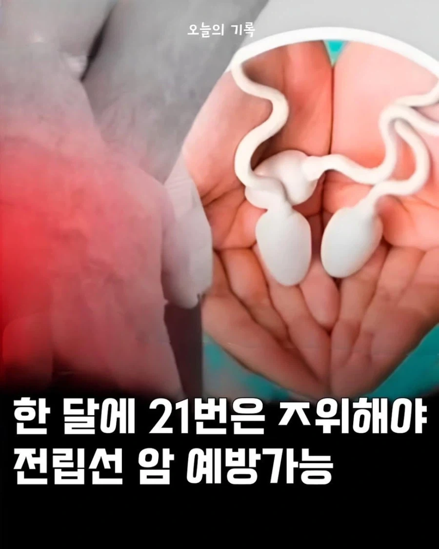 한달에 21번 이상 자.위해야_1.webp