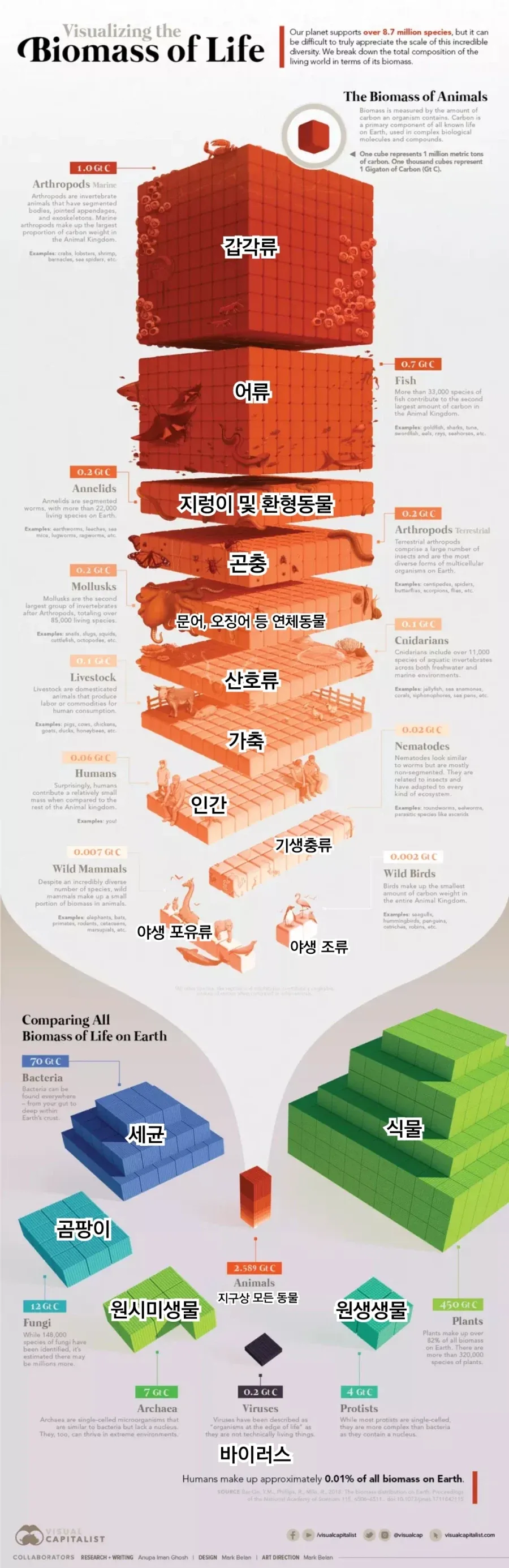 동물이 지구 생물에서 소수민족이네.jpg_1.webp