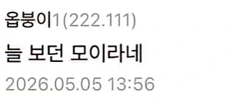 오버워치 탱장연