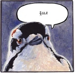 야 10덕 우리집에 원피스 있는데 집에올레?_3.webp