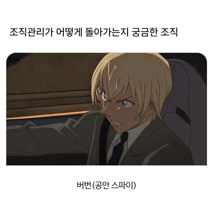 어떻게 돌아가는지 궁금한 조직.jpg_1.webp