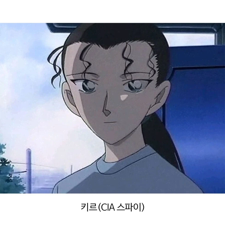 어떻게 돌아가는지 궁금한 조직.jpg_2.webp