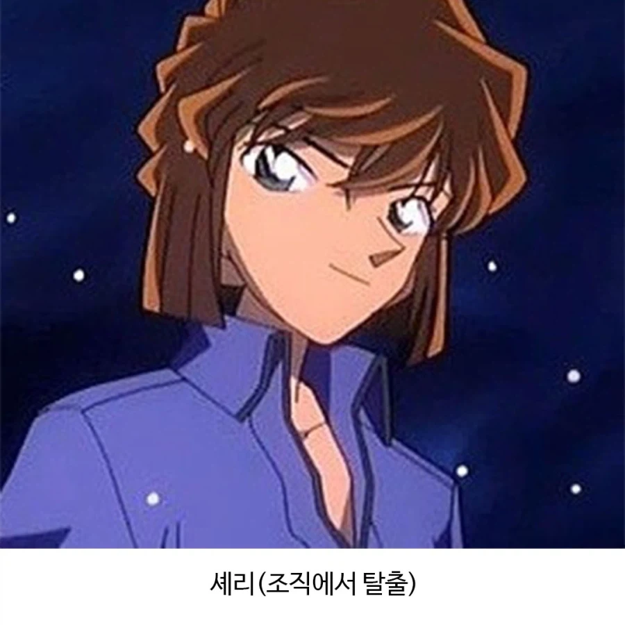 어떻게 돌아가는지 궁금한 조직.jpg_5.webp