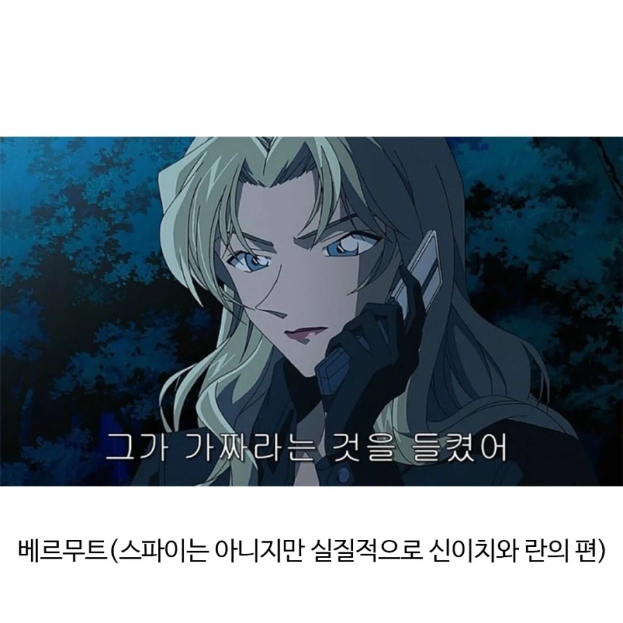 어떻게 돌아가는지 궁금한 조직.jpg_6.webp