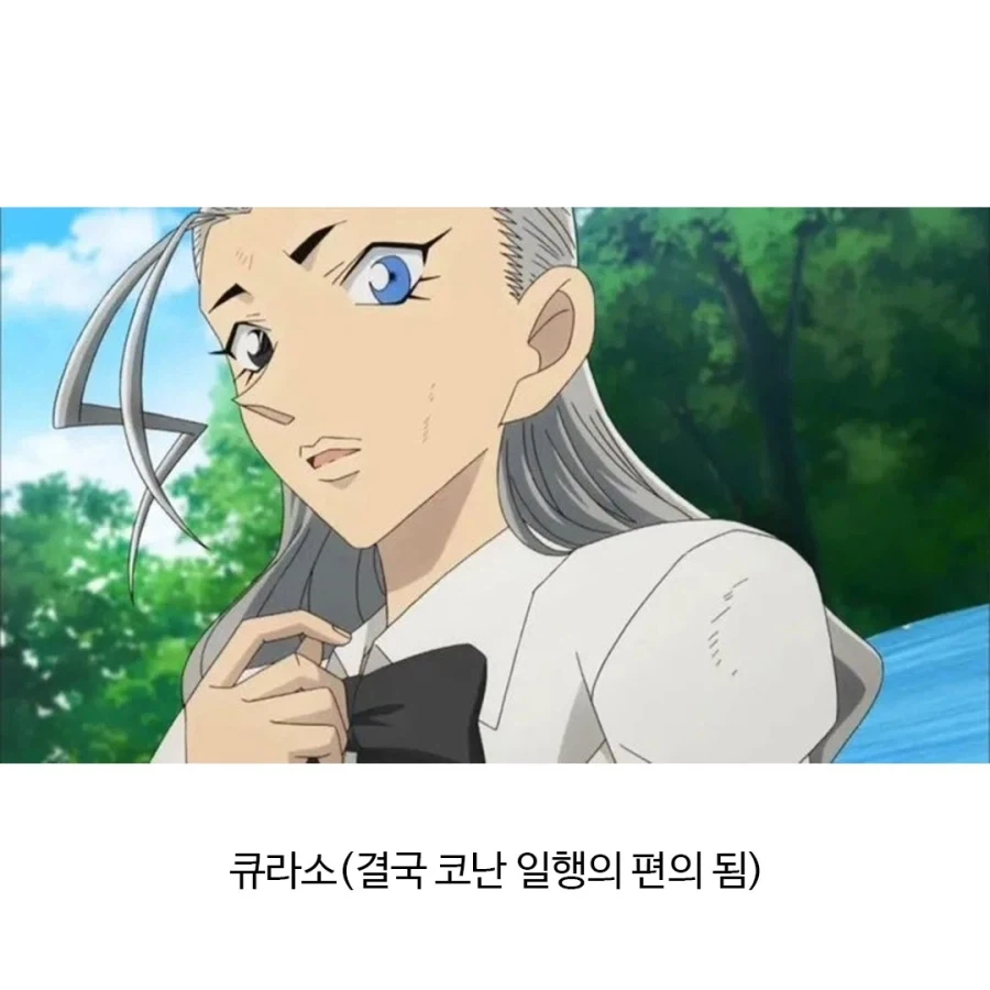 어떻게 돌아가는지 궁금한 조직.jpg_7.webp