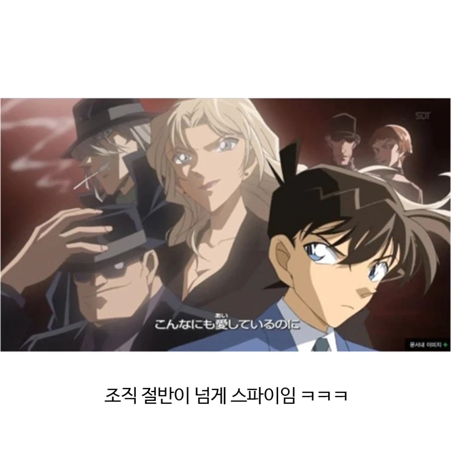 어떻게 돌아가는지 궁금한 조직.jpg_9.webp