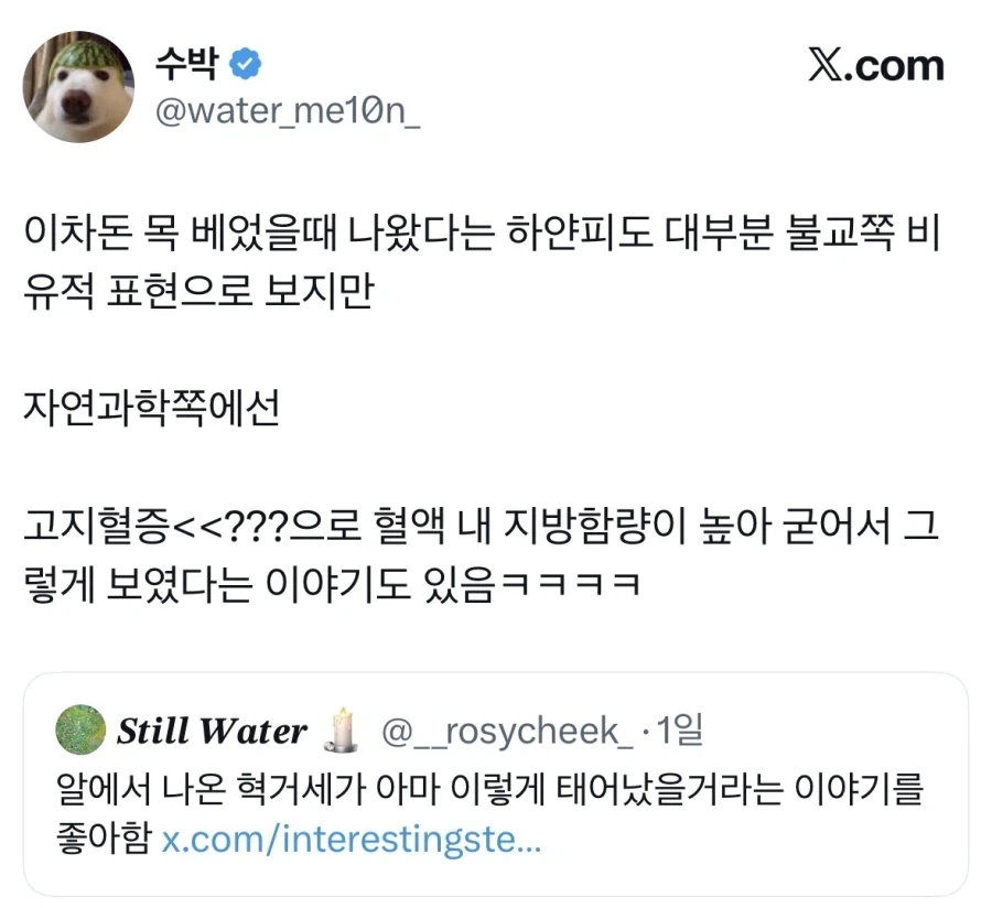 양막에 담긴채 태어난 아기.jpg_2.webp