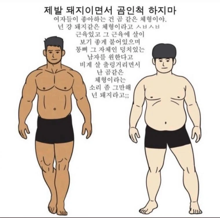 제발 돼지이면서 곰인 척 하지 마.jpg_1.webp