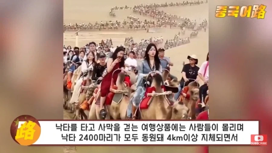 중국인들이 기회가 되면 어떻게든 해외로 나오는 이유_6.webp