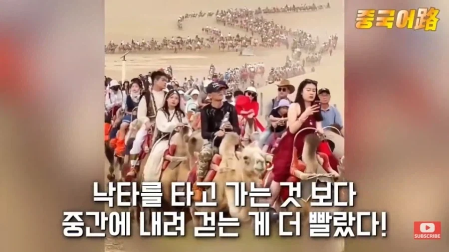 중국인들이 기회가 되면 어떻게든 해외로 나오는 이유_7.webp