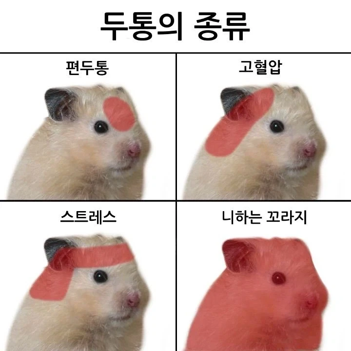 두통의 종류_1.webp