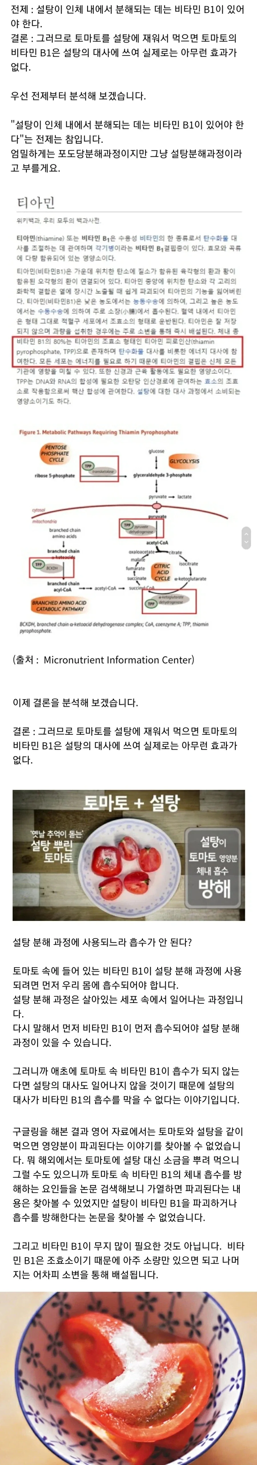 토마토: 그동안 너희를 속여왔던 거짓말에 대해 밝힌다._1.webp