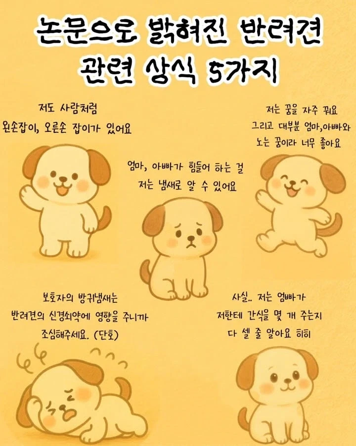 의외로 애완동물한테 하면 안 되는 행동_1.webp