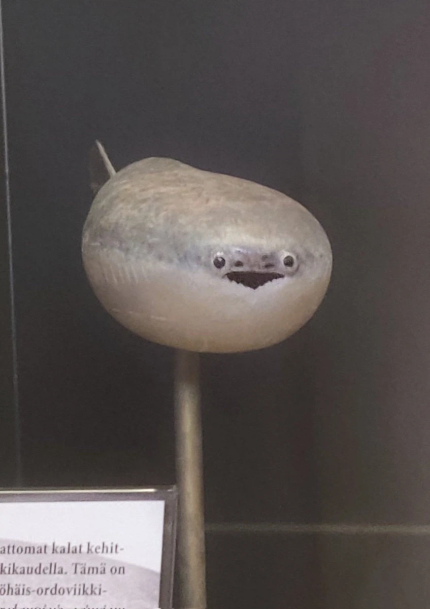 나도 AI 딸깍짤 가져와봄 ㅋㅋㅋㅋㅋ_1.webp