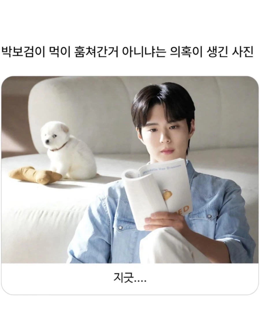 이건 박보검이 100% 잘못했음_1.webp