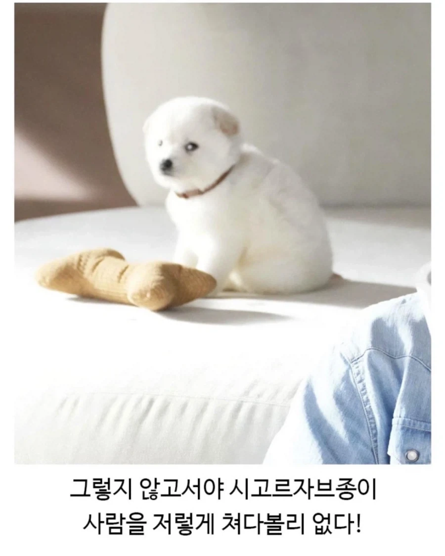 이건 박보검이 100% 잘못했음_2.webp