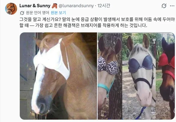 말 눈가리개로 유용한 물건_1.webp