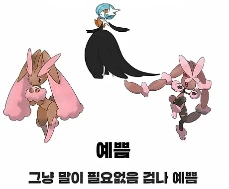 색깔별 이로치 포켓몬 유형_5.webp