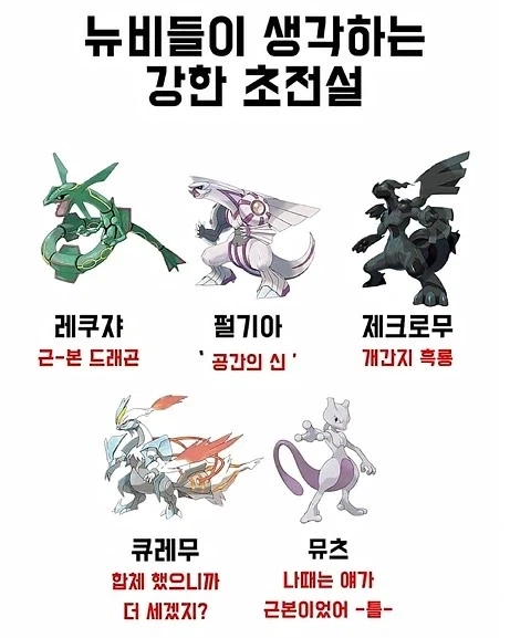 뉴비들이 생각하는 강력한 초전설 포켓몬_1.webp
