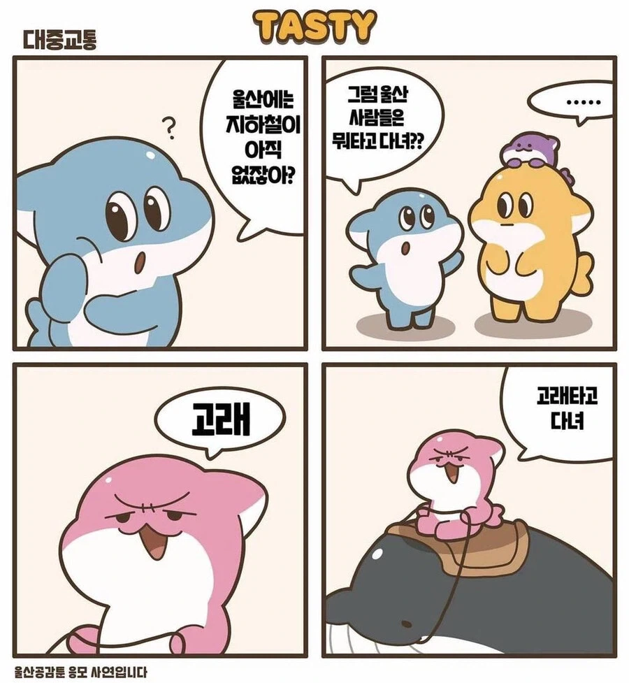 면허증 갱신할때됐네_1.webp