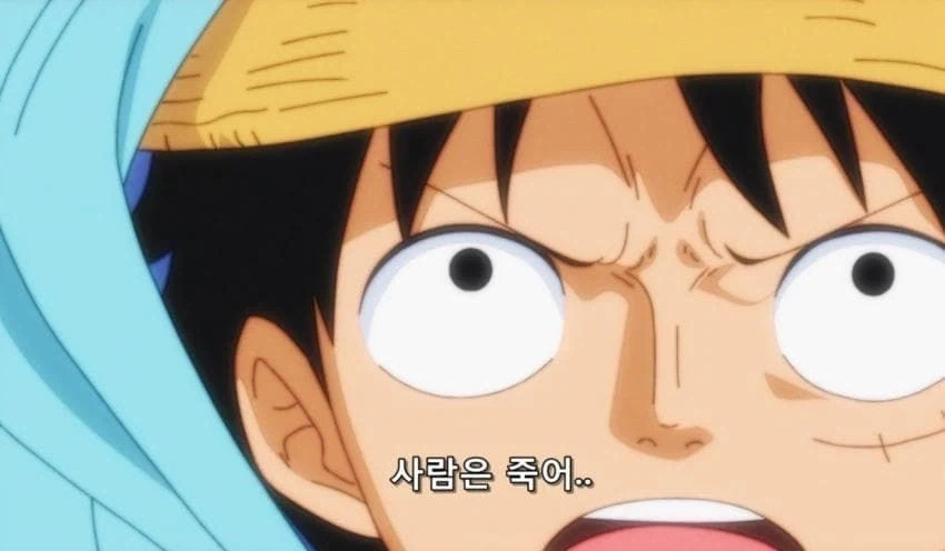 우솝이 루피 내로남불 비웃는 장면 아님_2.webp