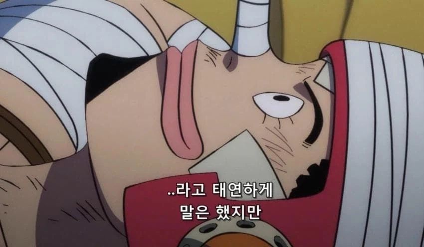 우솝이 루피 내로남불 비웃는 장면 아님_4.webp