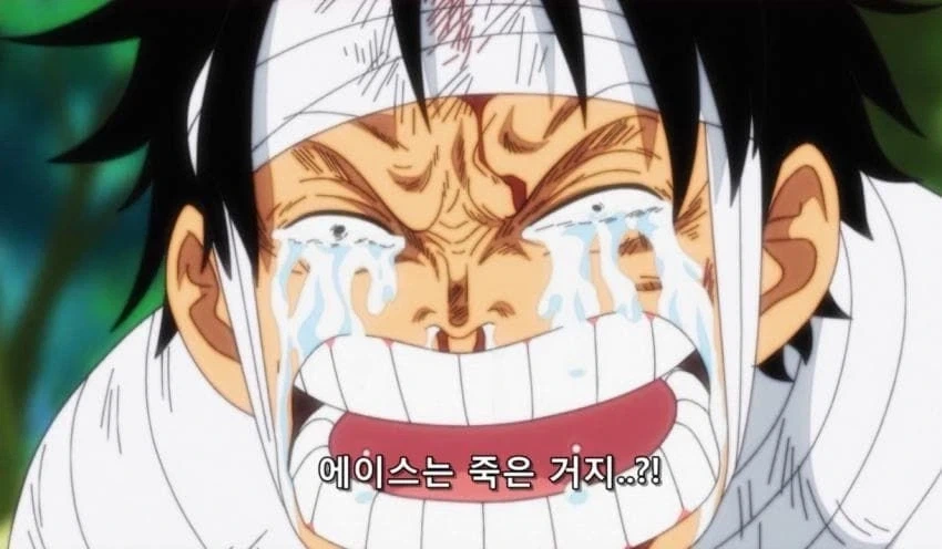 우솝이 루피 내로남불 비웃는 장면 아님_6.webp