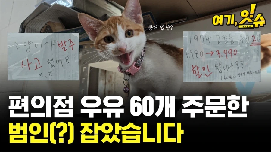 알바가 우유60개 발주넣는 폐급짓을 해도 살아남은 이유_1.webp