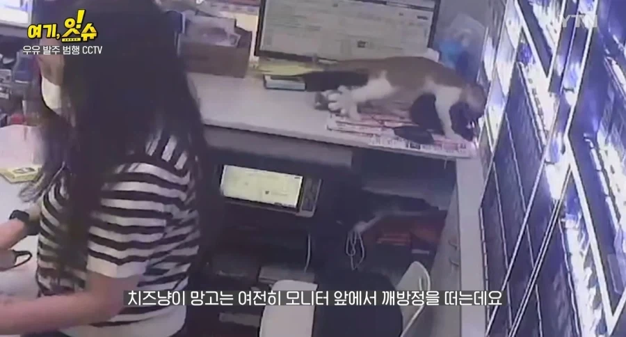 알바가 우유60개 발주넣는 폐급짓을 해도 살아남은 이유_2.webp