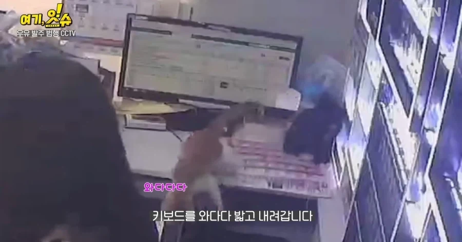 알바가 우유60개 발주넣는 폐급짓을 해도 살아남은 이유_4.webp