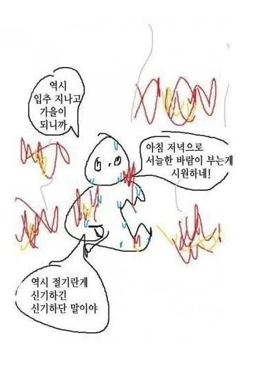 확실히 입추라고 시원하네 ㅋㅋ_1.webp