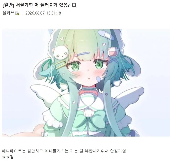 ??? : 서울 가면 뭐 둘러볼 수 있음?_1.webp