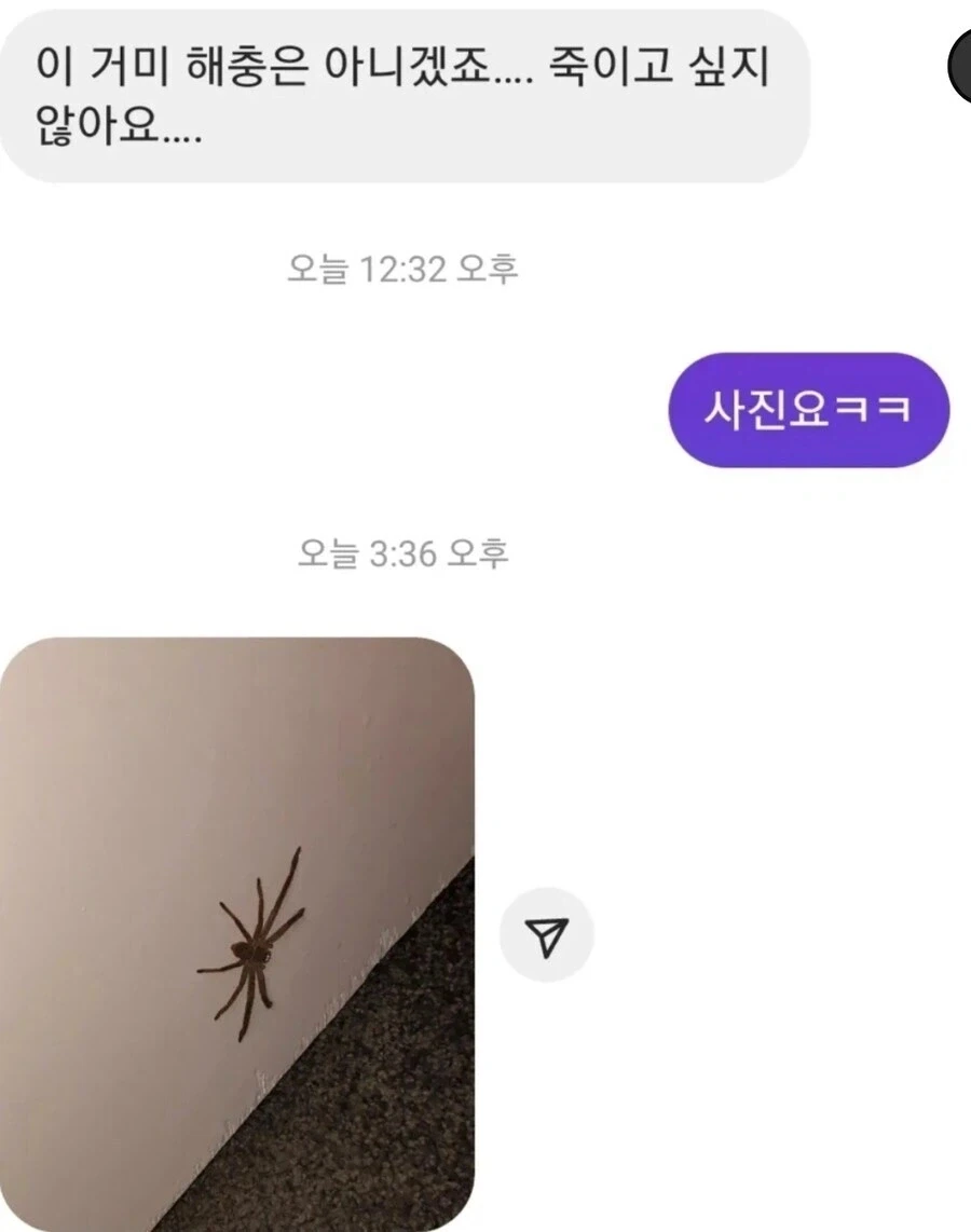 의외로 공포영화 클리셰.jpg_1.webp