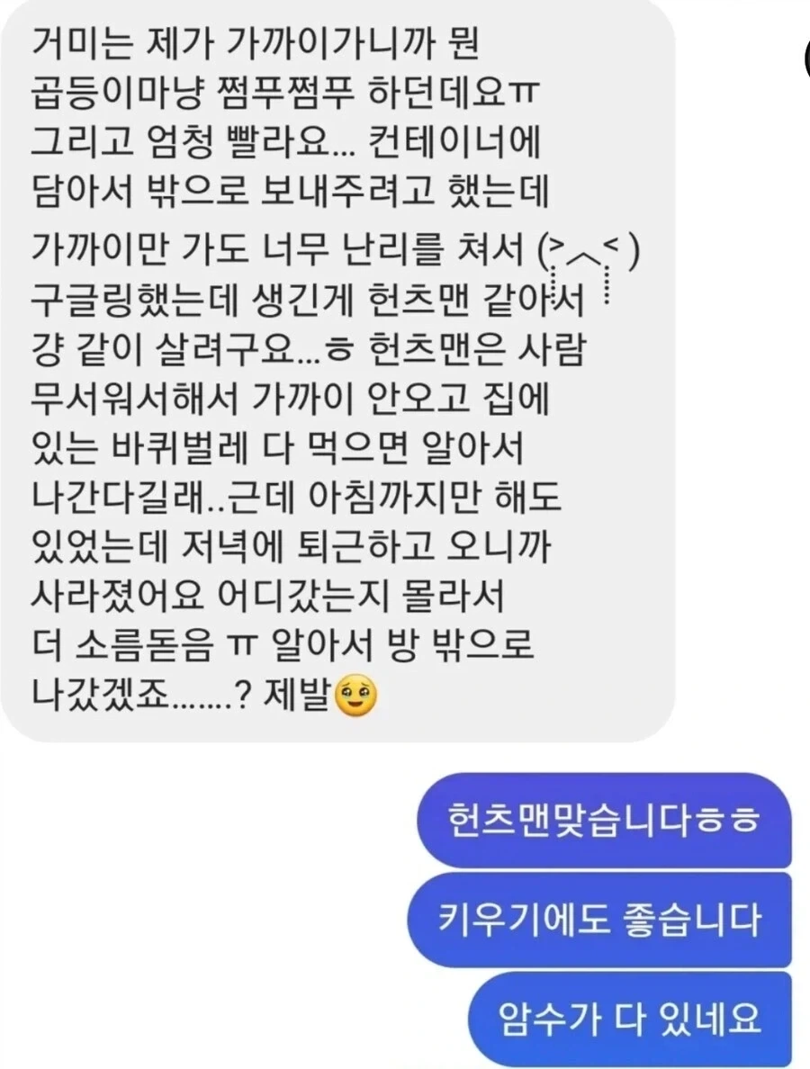 의외로 공포영화 클리셰.jpg_2.webp