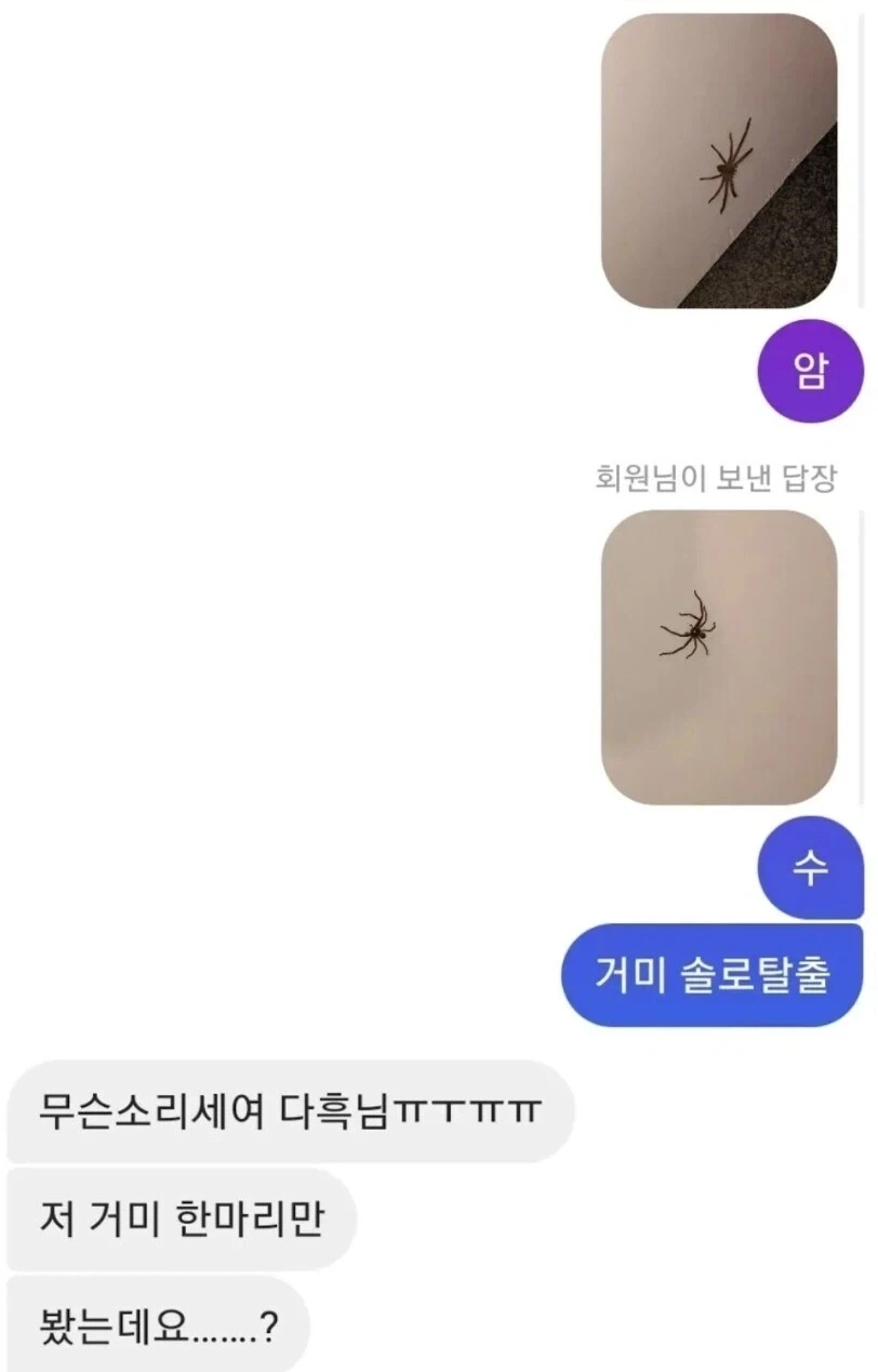 의외로 공포영화 클리셰.jpg_3.webp